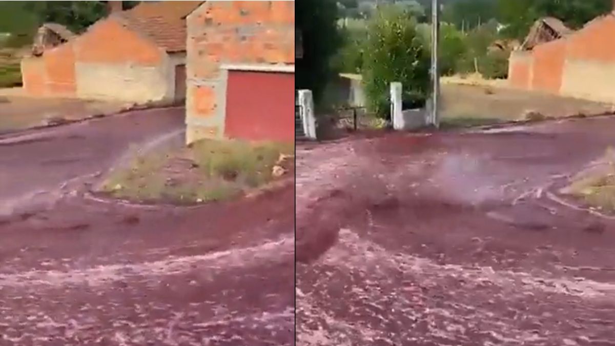 Red Wine River Flows Through Streets Of Portuguese Town After